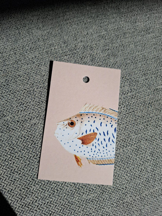 Baars Vis - Cadeaukaartje