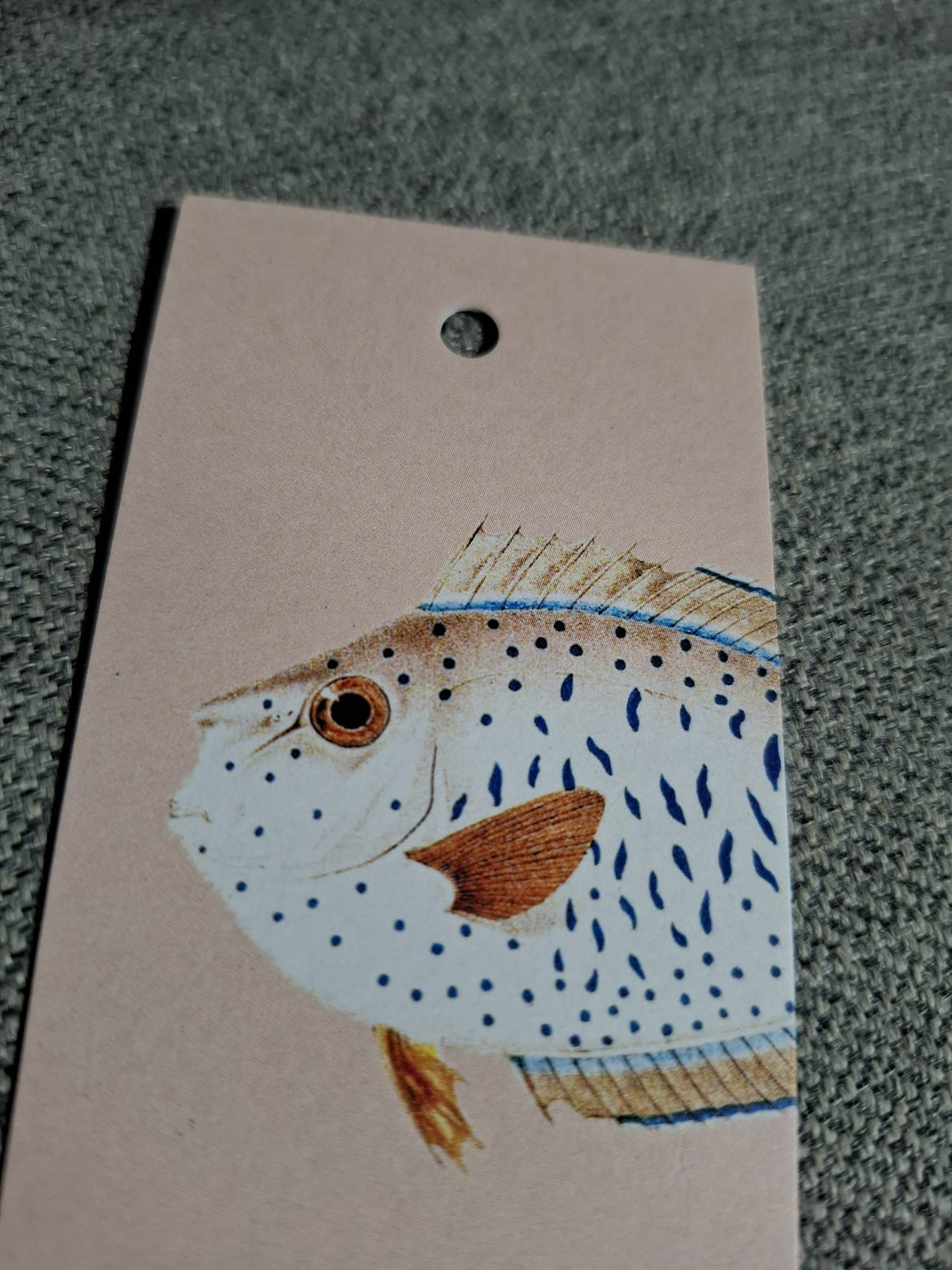 Baars Vis - Cadeaukaartje