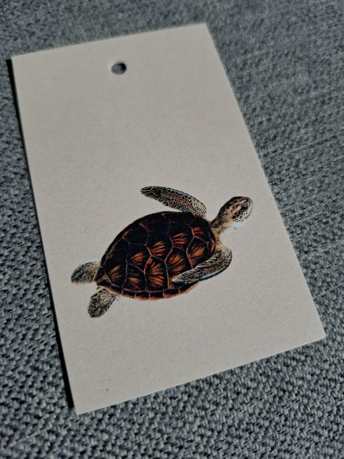 Zee Schildpad - Cadeaukaartje