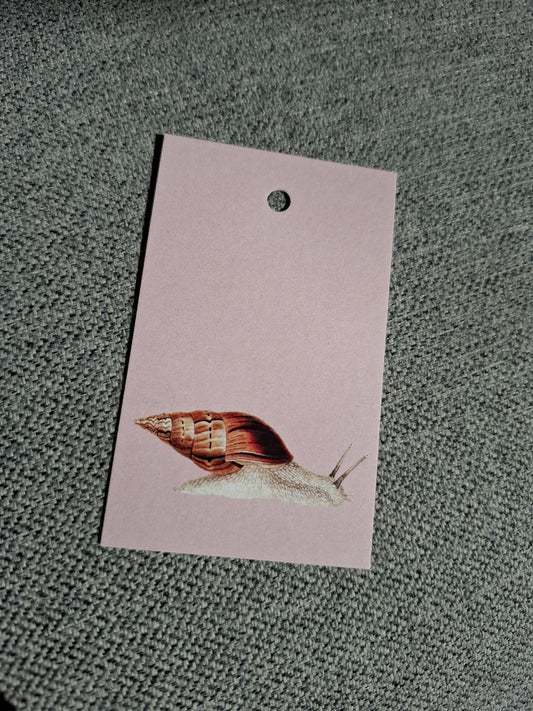 Zee Slak - Cadeaukaartje