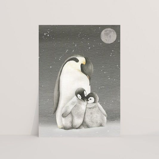 Pinguïns in de nacht - Ansichtkaart