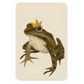 Kikkerprins – Ansichtkaart