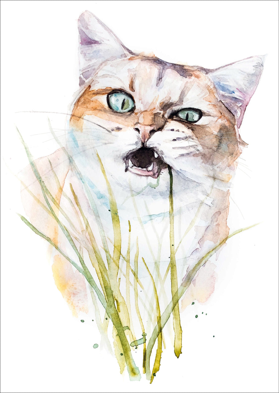 Kat eet sprietje – Ansichtkaart