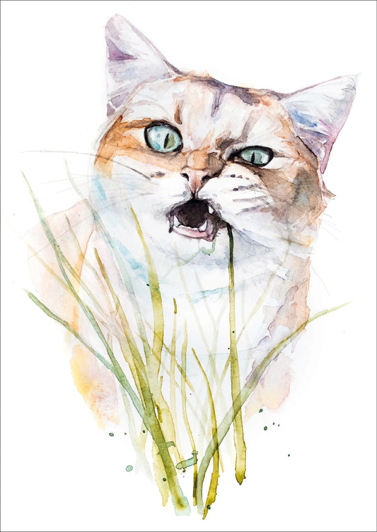 Kat eet sprietje – Ansichtkaart
