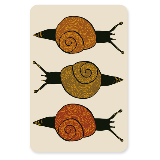 Slakken – Ansichtkaart