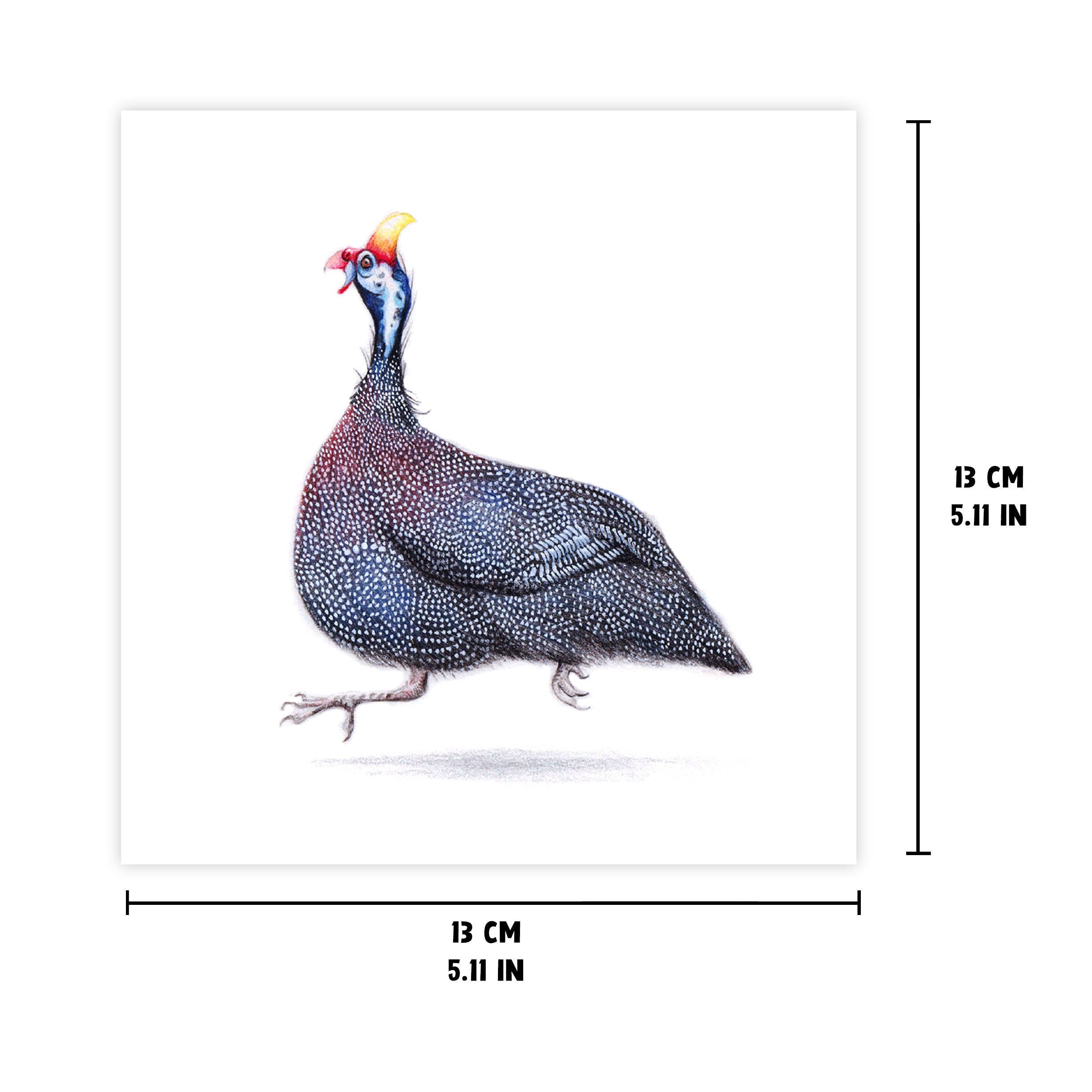 Gekke Kwartel - Wenskaart met envelop