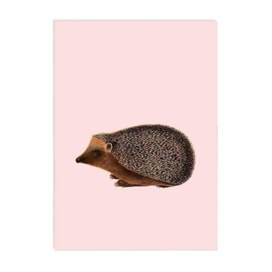 Egel - Ansichtkaart