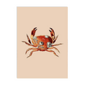 Krab – Ansichtkaart
