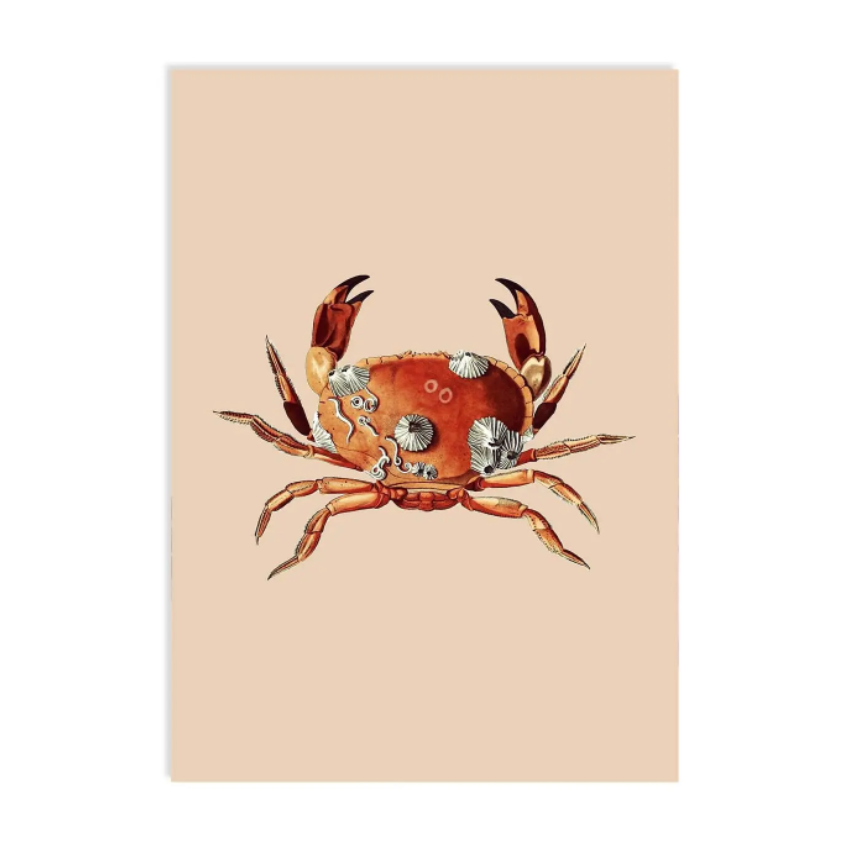 Krab – Ansichtkaart