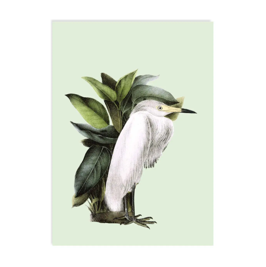 Reiger – Ansichtkaart