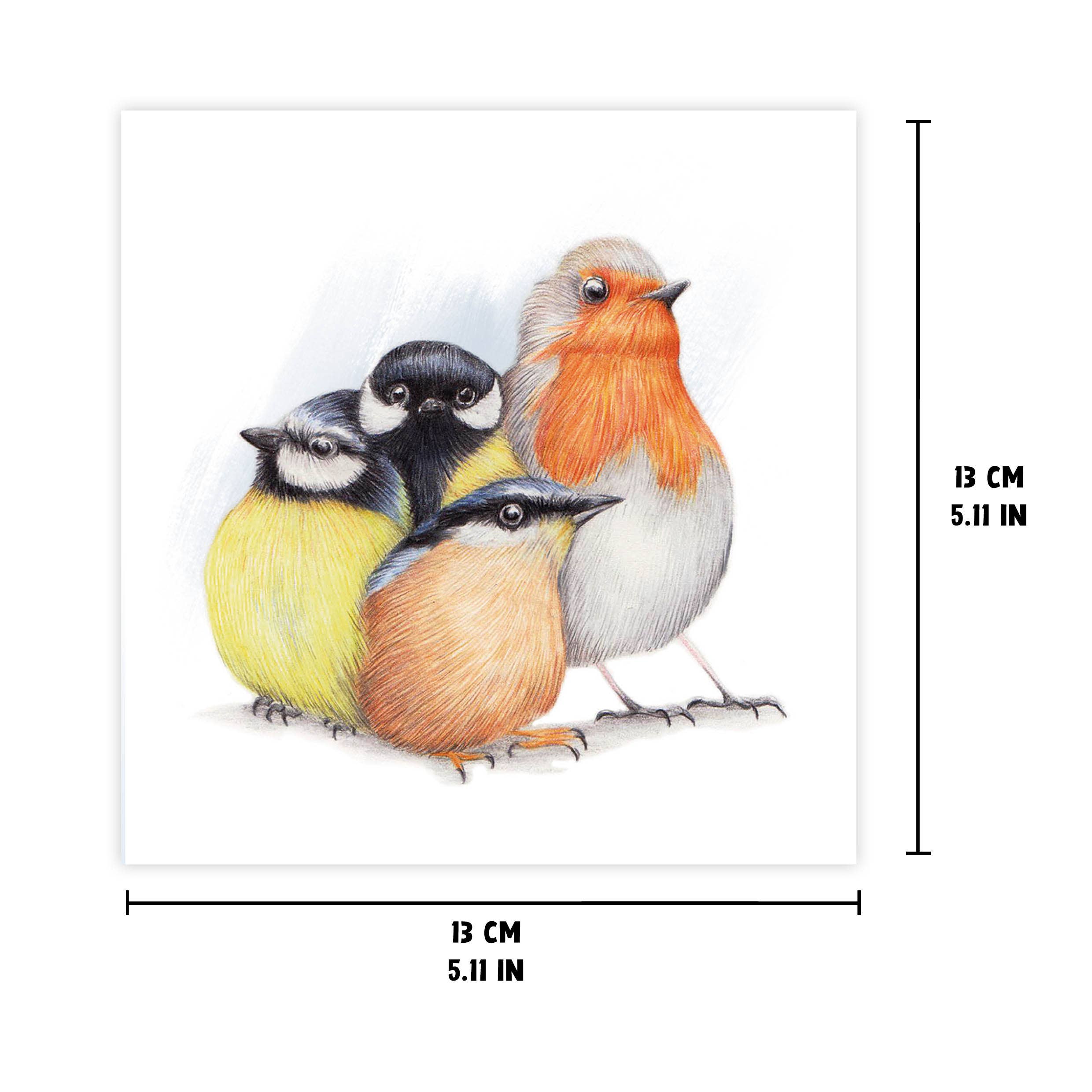 Schattige Nederlandse Vogels - Wenskaart met envelop