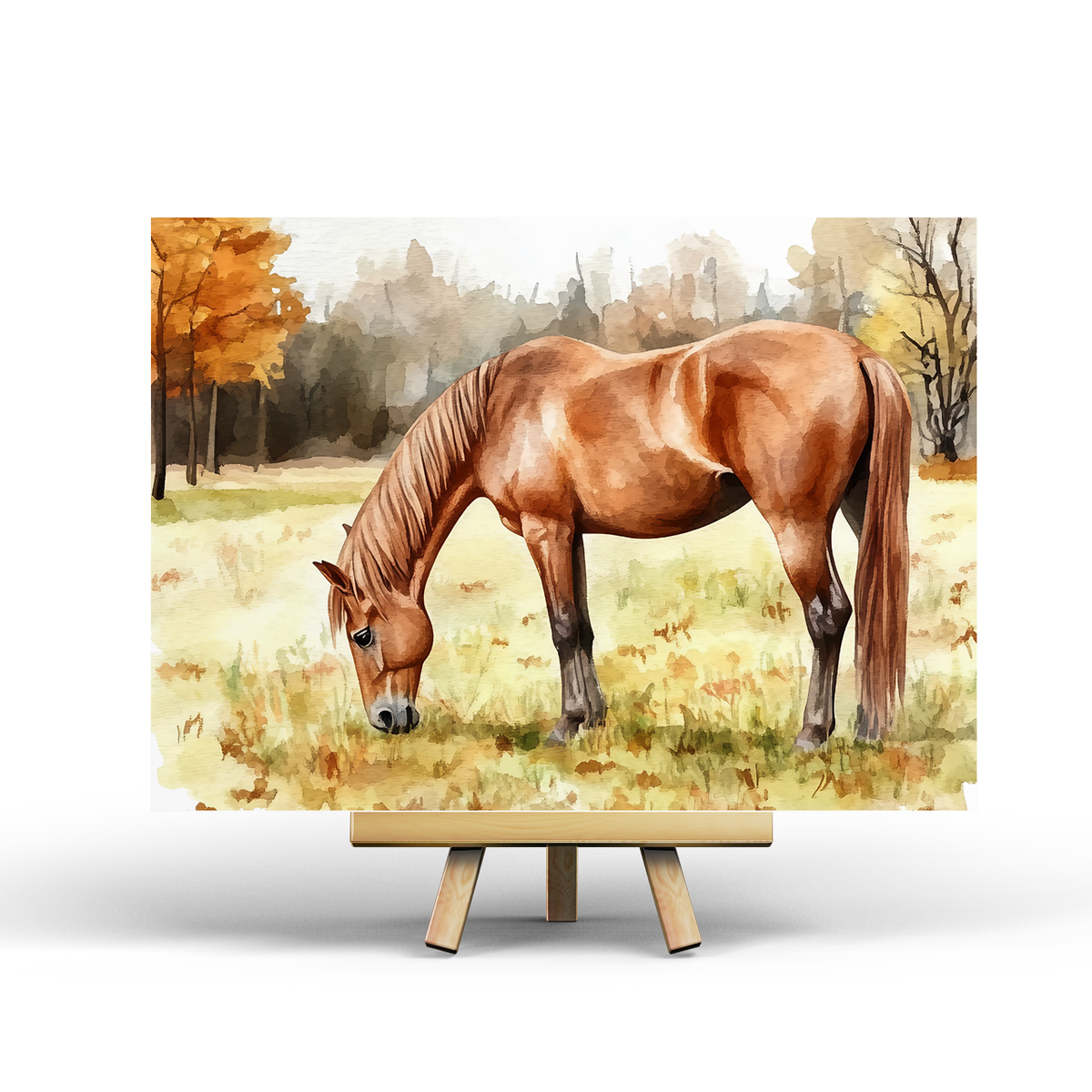 Paard - Ansichtkaart