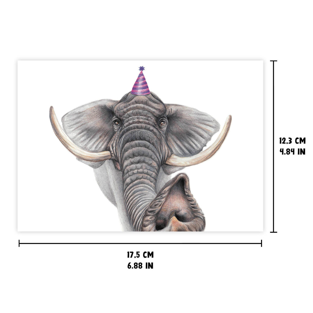 Olifant met Feesthoedje - Wenskaart met envelop