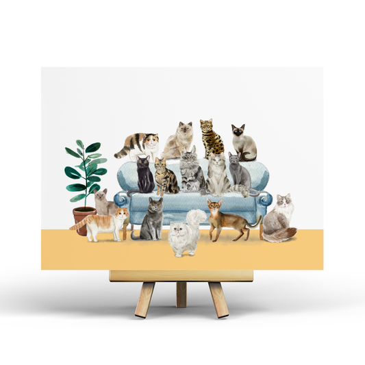Katten - Ansichtkaart