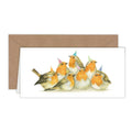 Roodborst en Vogels - Wenskaart met envelop