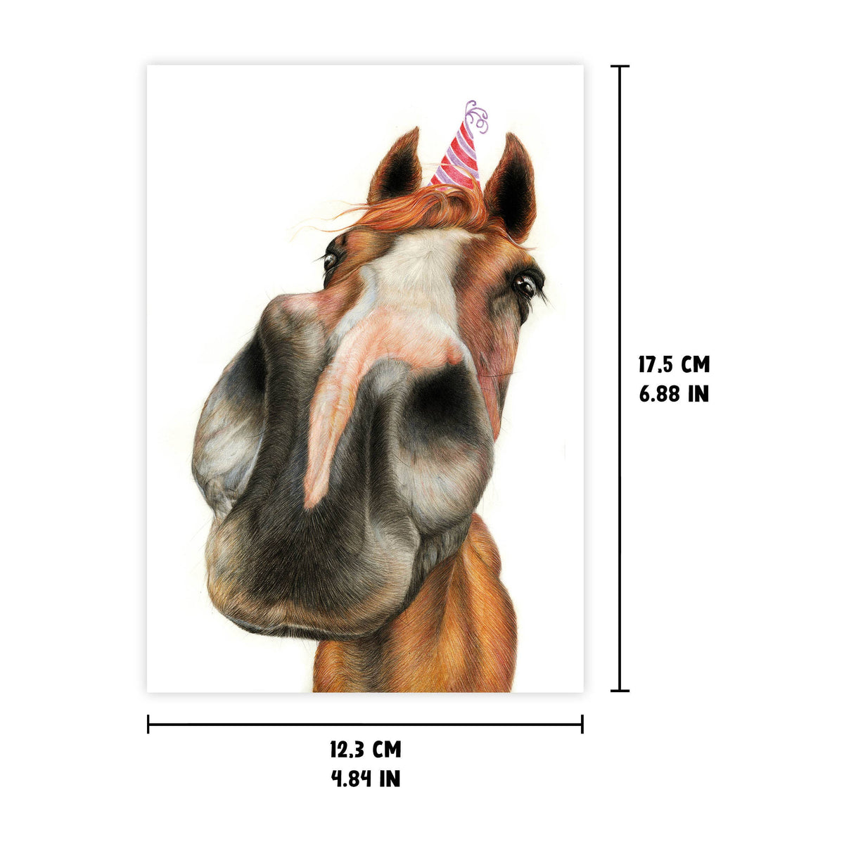 Grappig Paard - Wenskaart met envelop