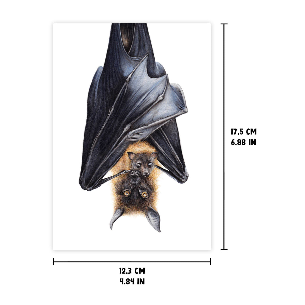 Vliegende Vos - Wenskaart met envelop