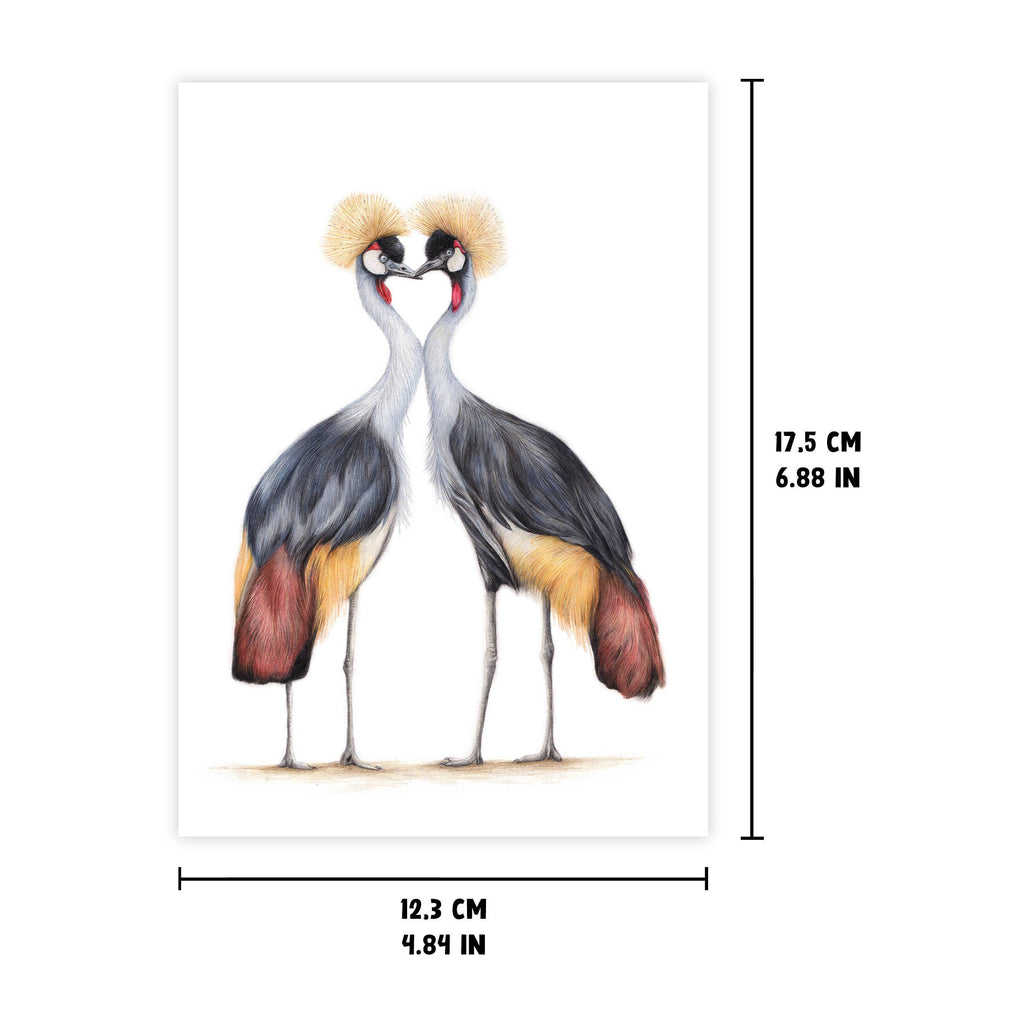 Kroonkraanvogel - Wenskaart met envelop