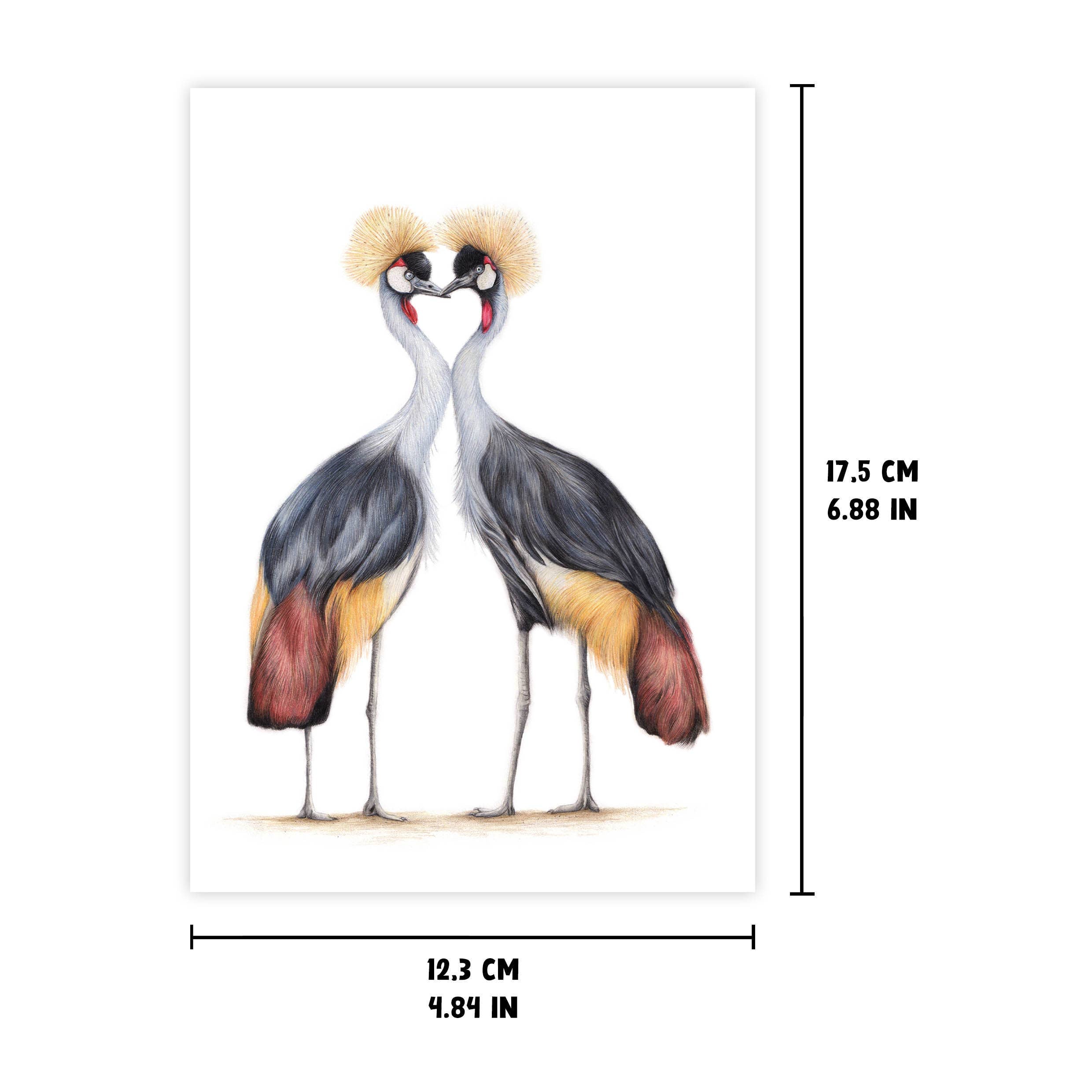 Kroonkraanvogel - Wenskaart met envelop