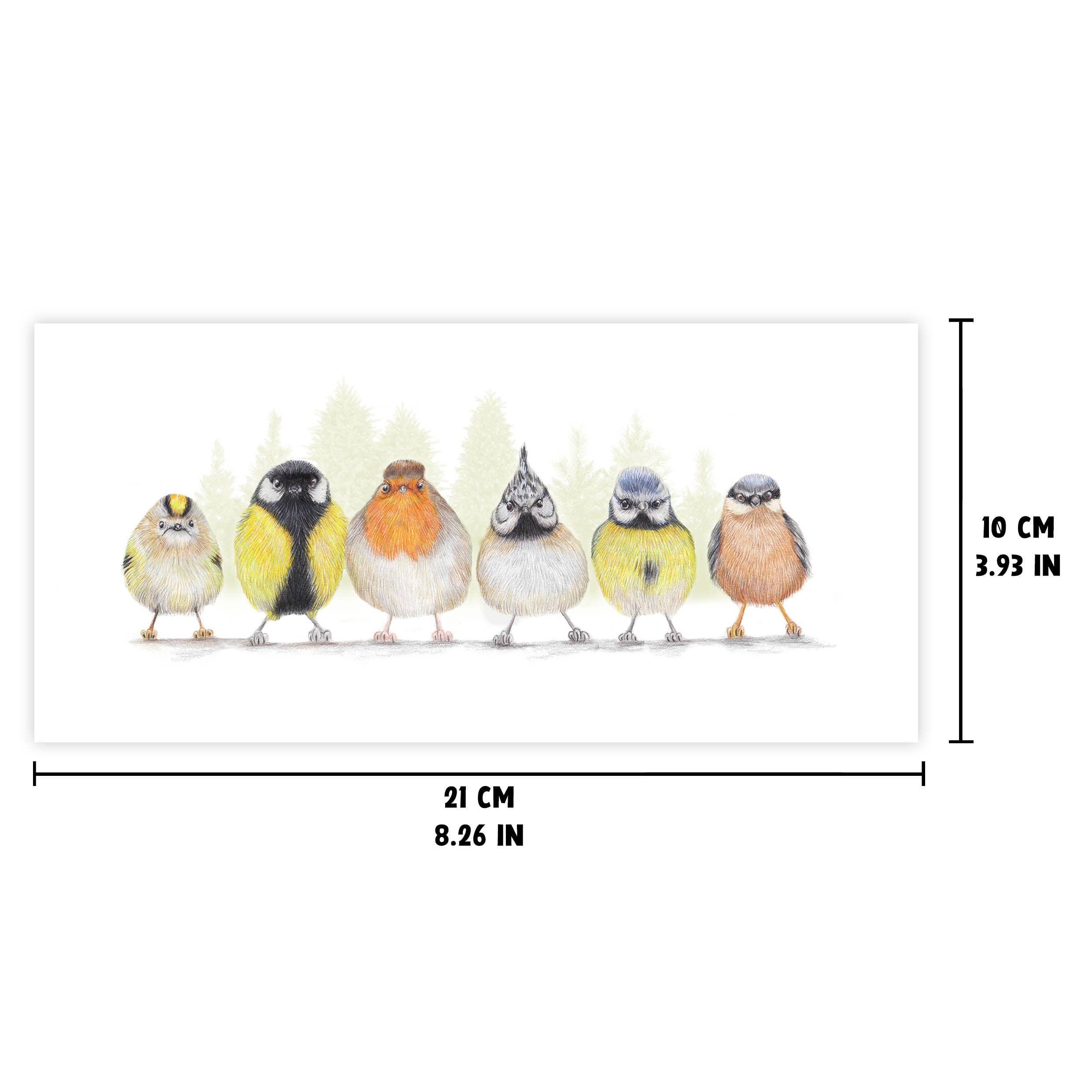 Schattige Vogels versie 4 - Wenskaart met envelop