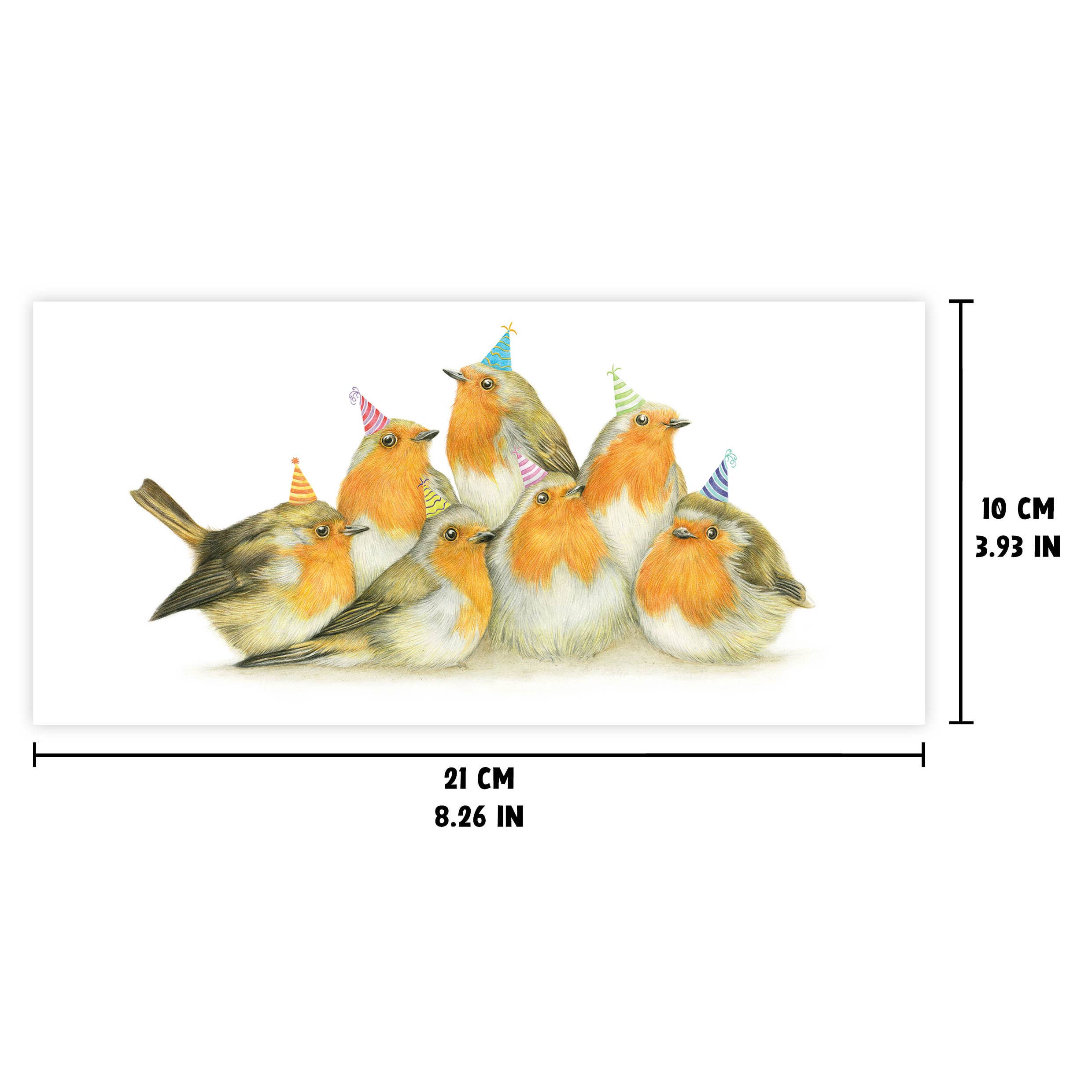 Roodborst en Vogels - Wenskaart met envelop