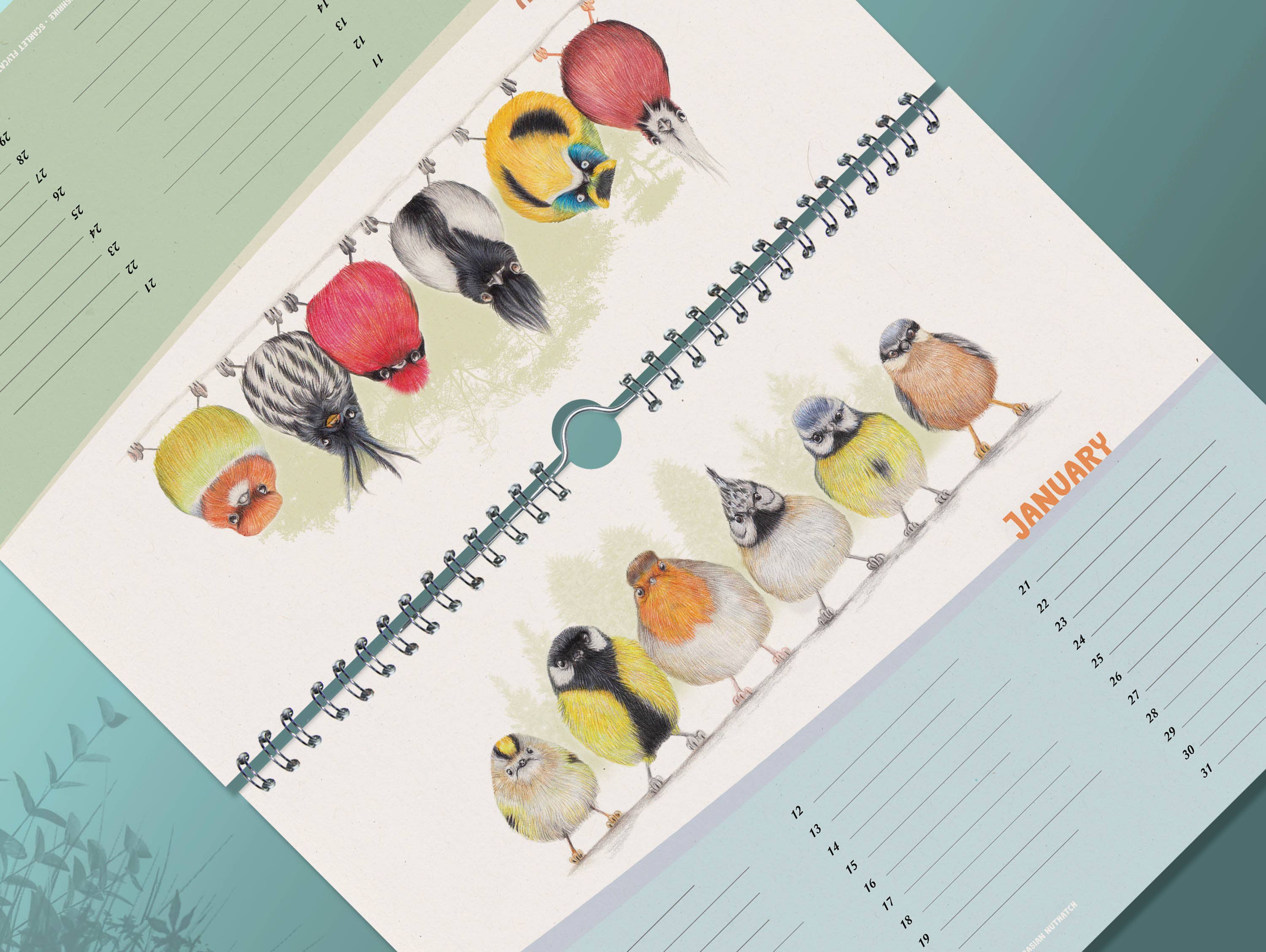 Vogels - Verjaardagskalender