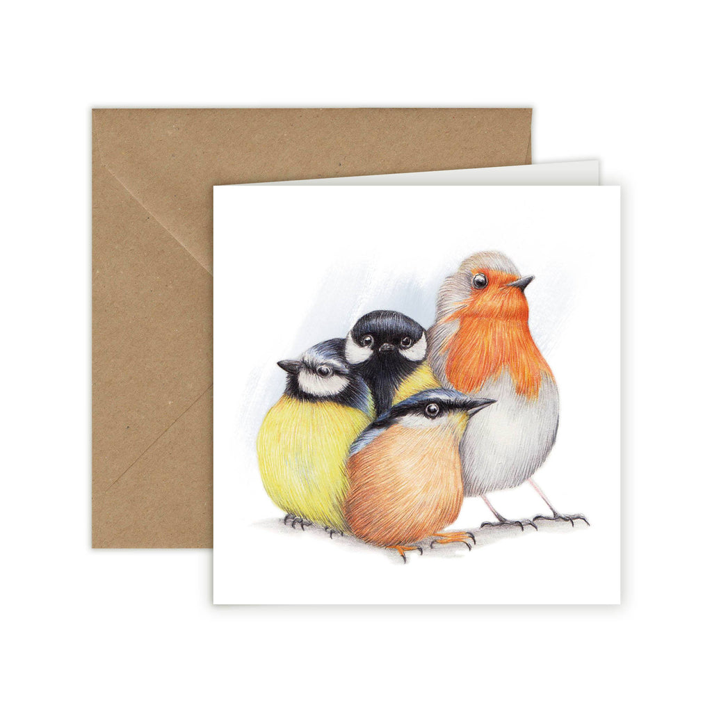 Schattige Nederlandse Vogels - Wenskaart met envelop