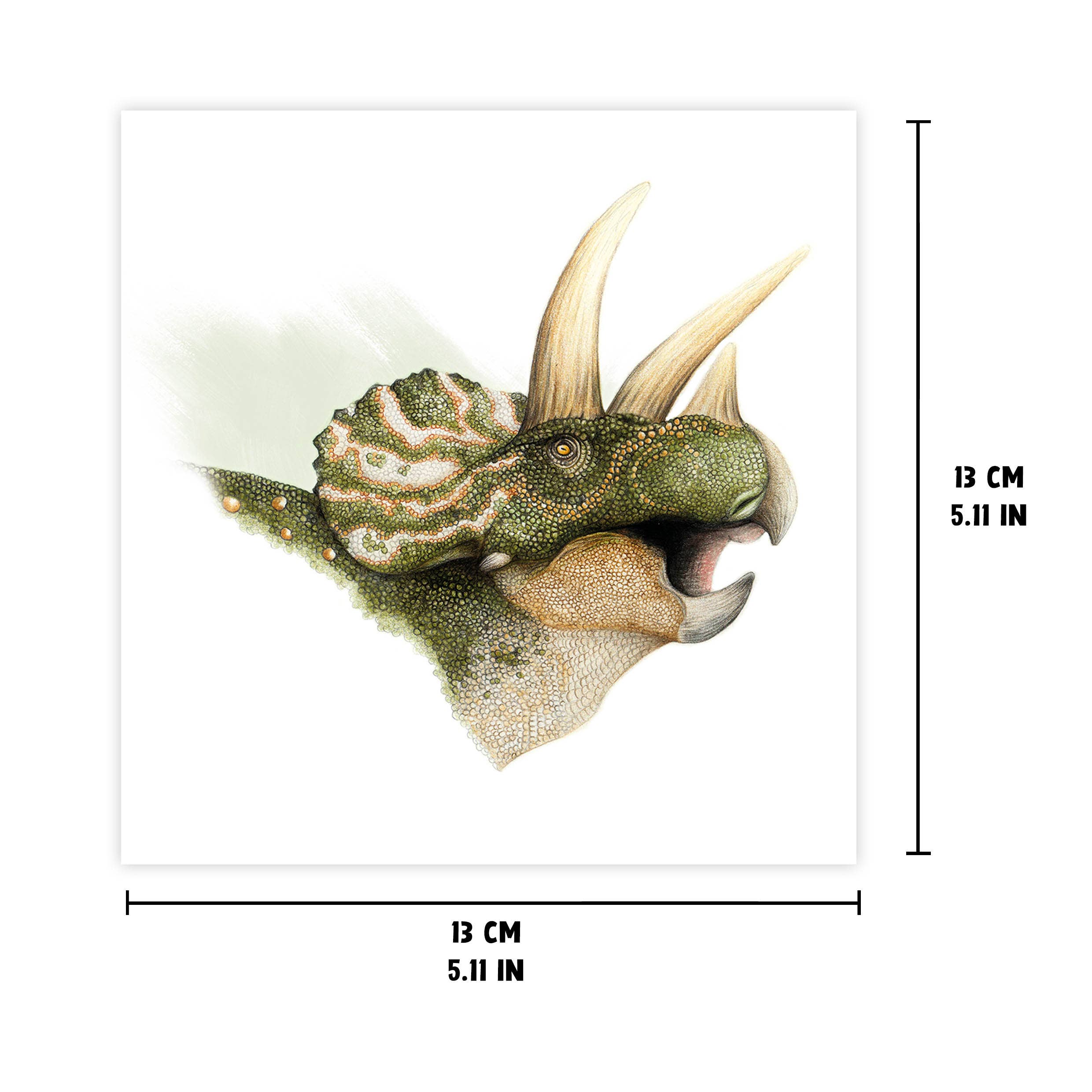 Triceratops - Wenskaart met envelop