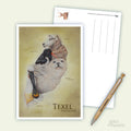 Dieren Texel - Ansichtkaart
