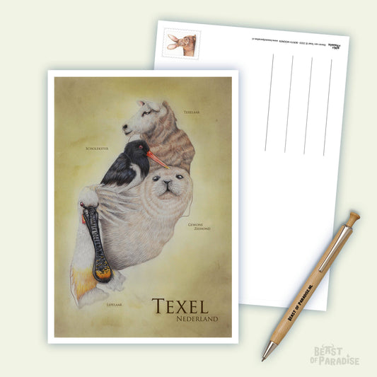Dieren Texel - Ansichtkaart