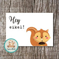 'Hey eikel!' - Eekhoorn Ansichtkaart