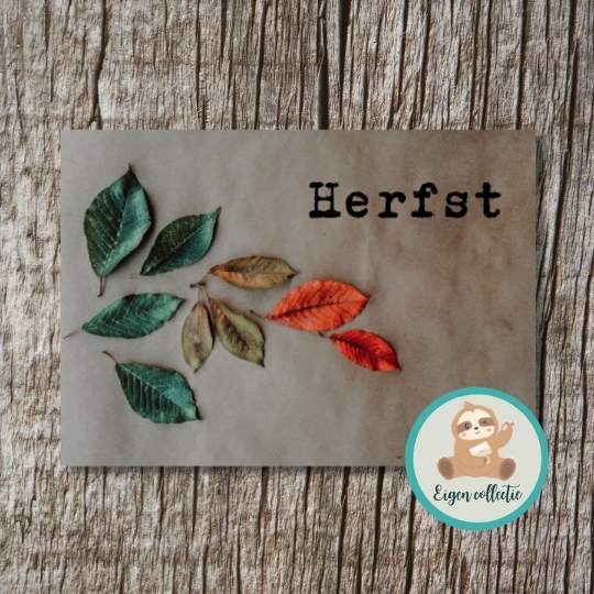 'Herfst’ Bladeren – Ansichtkaart