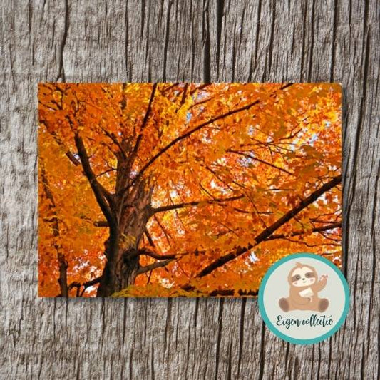 Herfst Blaadjes Boom – Ansichtkaart