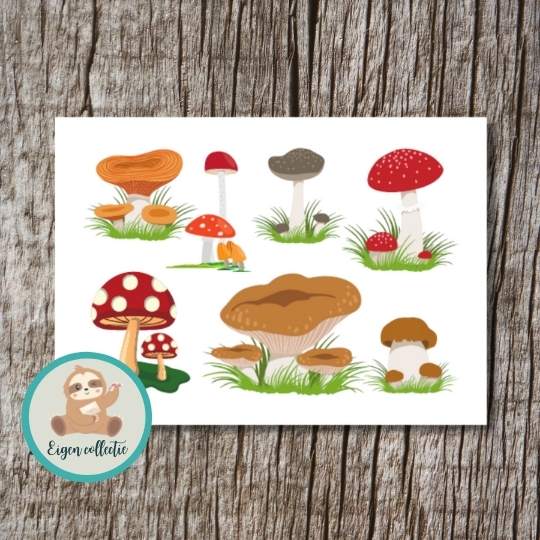 Paddenstoelen – Ansichtkaart