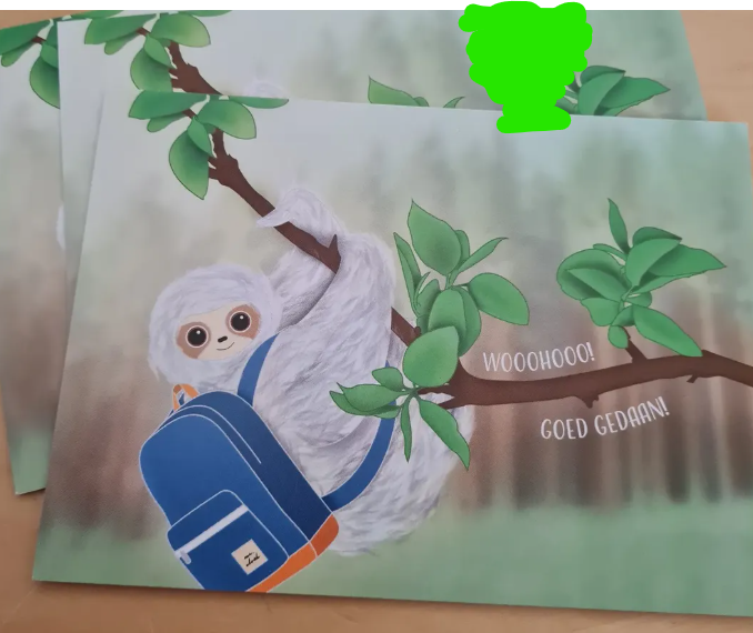 'Wooohooo! Goed gedaan!’ – Geslaagd Ansichtkaart