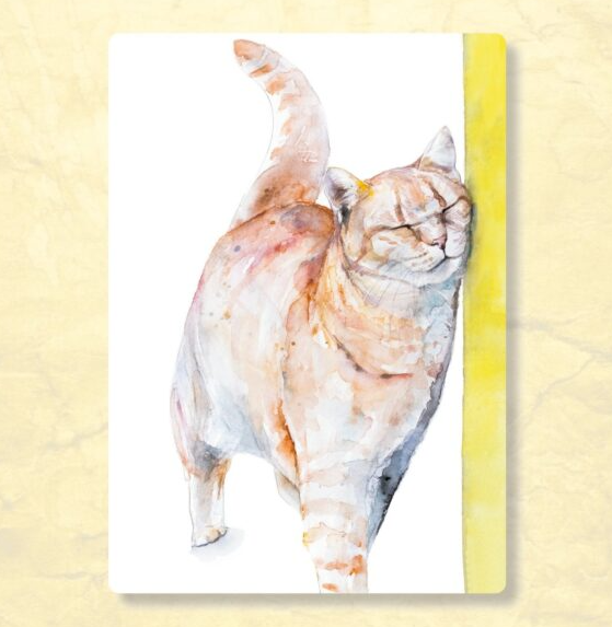 Kat met kriebel – Ansichtkaart