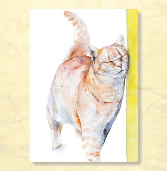 Kat met kriebel – Ansichtkaart