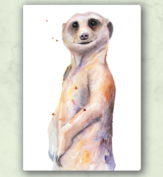 Stokstaartje – Ansichtkaart