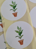 Plant in pot - 20 Stickers