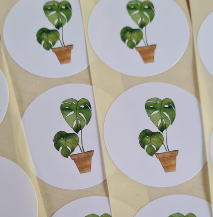 Monstera Plant - 20 Stickers