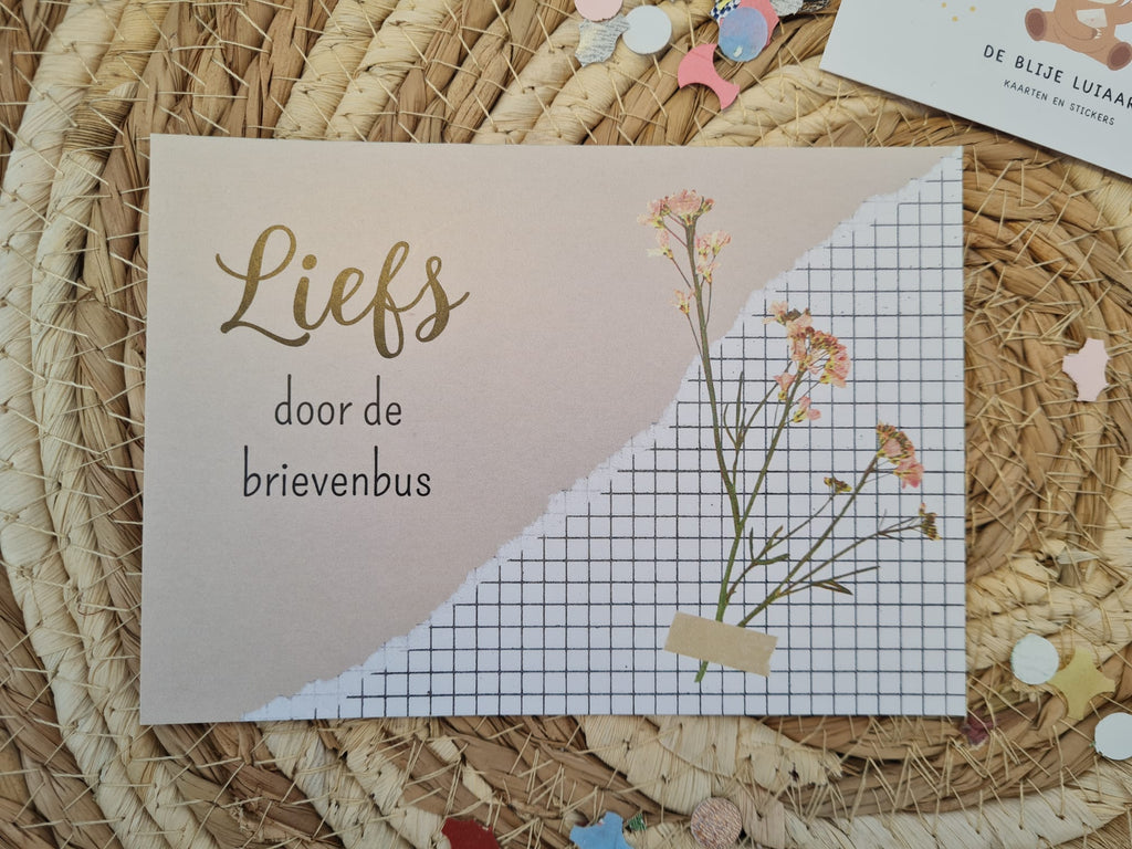 'Liefs door de brievenbus' - Ansichtkaart