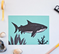 Haai – Ansichtkaart