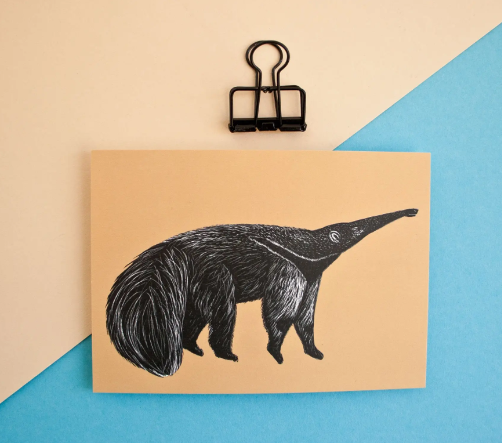 Miereneter – Ansichtkaart