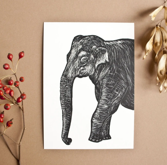 Olifant – Ansichtkaart