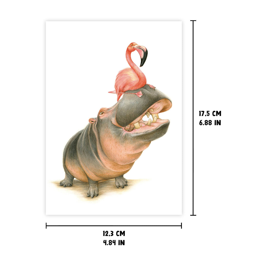 Nijlpaard en Flamingo - Wenskaart met envelop