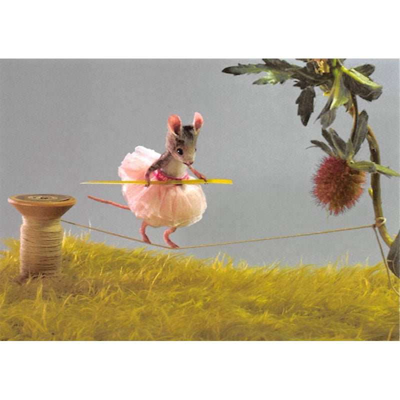 Muis – Balanceren Ansichtkaart