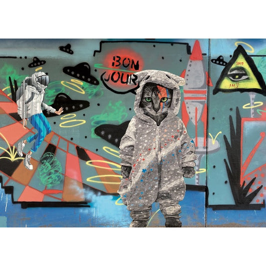 Kat Graffiti – Ansichtkaart