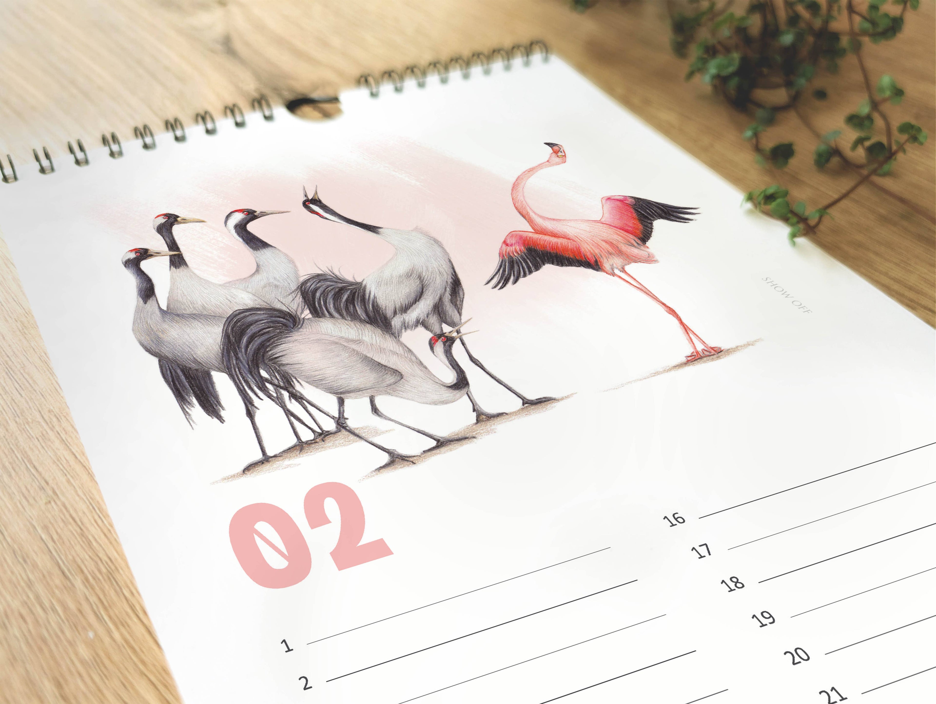 Dieren - Verjaardagskalender