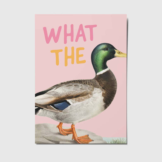 What the duck - Ansichtkaart