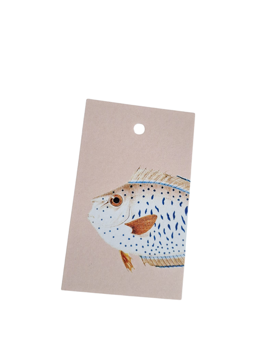 Baars Vis - Cadeaukaartje
